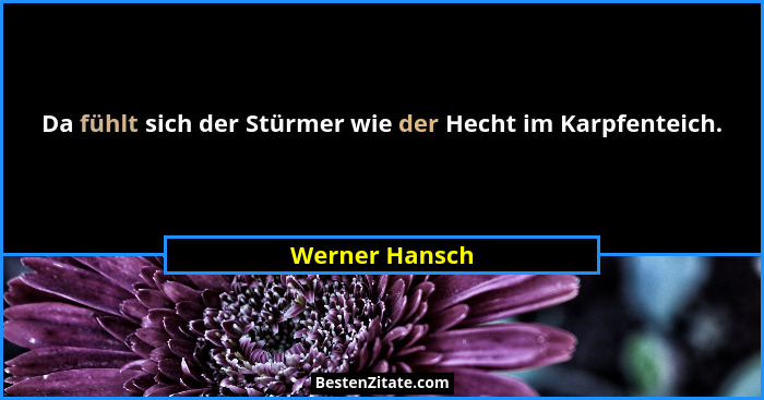 Da fühlt sich der Stürmer wie der Hecht im Karpfenteich.... - Werner Hansch
