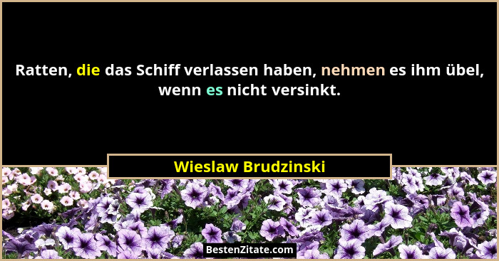 Ratten, die das Schiff verlassen haben, nehmen es ihm übel, wenn es nicht versinkt.... - Wieslaw Brudzinski