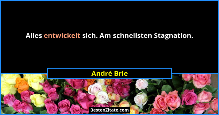 Alles entwickelt sich. Am schnellsten Stagnation.... - André Brie