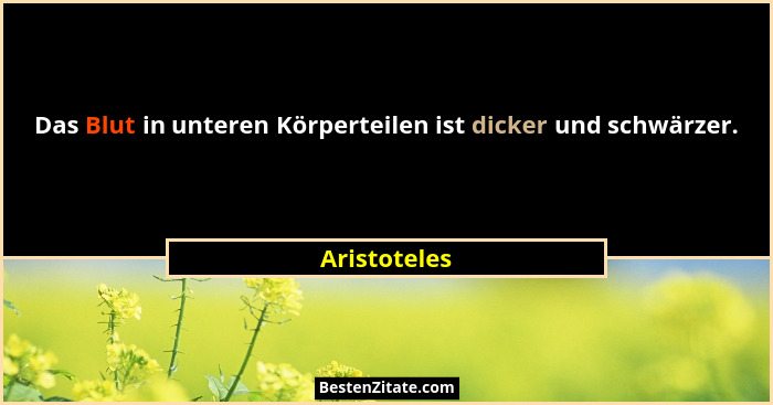 Das Blut in unteren Körperteilen ist dicker und schwärzer.... - Aristoteles