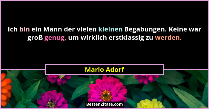Ich bin ein Mann der vielen kleinen Begabungen. Keine war groß genug, um wirklich erstklassig zu werden.... - Mario Adorf