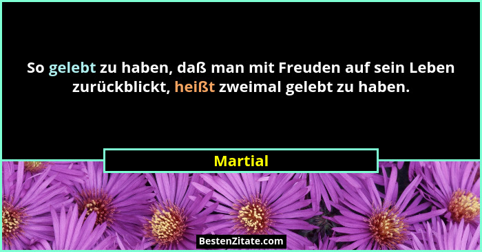 So gelebt zu haben, daß man mit Freuden auf sein Leben zurückblickt, heißt zweimal gelebt zu haben.... - Martial