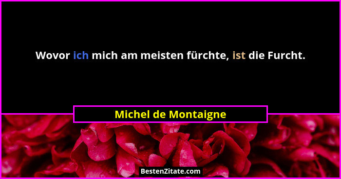 Wovor ich mich am meisten fürchte, ist die Furcht.... - Michel de Montaigne