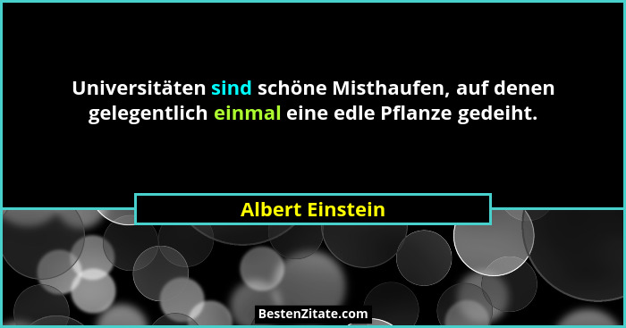 Universitäten sind schöne Misthaufen, auf denen gelegentlich einmal eine edle Pflanze gedeiht.... - Albert Einstein
