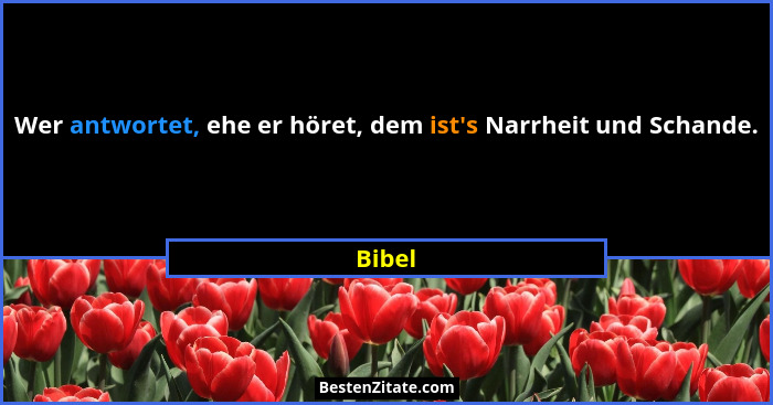 Wer antwortet, ehe er höret, dem ist's Narrheit und Schande.... - Bibel