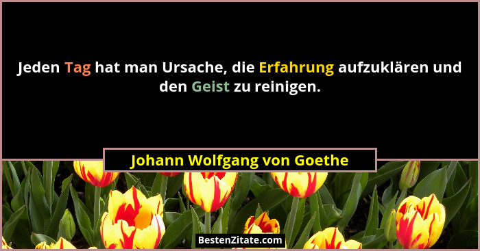 Jeden Tag hat man Ursache, die Erfahrung aufzuklären und den Geist zu reinigen.... - Johann Wolfgang von Goethe