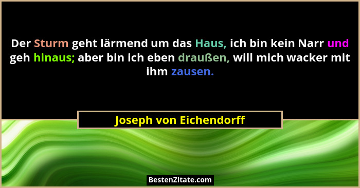 Der Sturm geht lärmend um das Haus, ich bin kein Narr und geh hinaus; aber bin ich eben draußen, will mich wacker mit ihm zau... - Joseph von Eichendorff