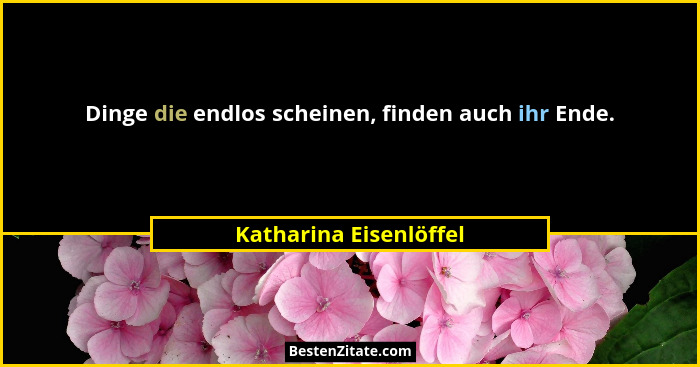 Dinge die endlos scheinen, finden auch ihr Ende.... - Katharina Eisenlöffel