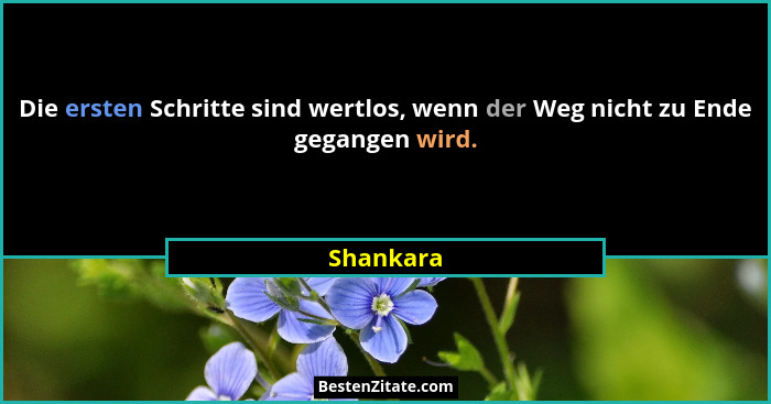 Die ersten Schritte sind wertlos, wenn der Weg nicht zu Ende gegangen wird.... - Shankara