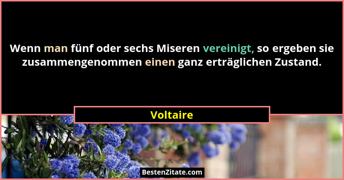 Wenn man fünf oder sechs Miseren vereinigt, so ergeben sie zusammengenommen einen ganz erträglichen Zustand.... - Voltaire