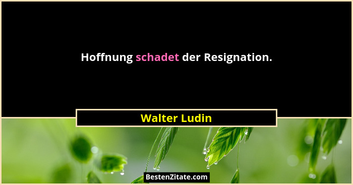 Hoffnung schadet der Resignation.... - Walter Ludin