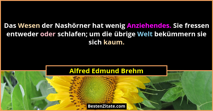 Das Wesen der Nashörner hat wenig Anziehendes. Sie fressen entweder oder schlafen; um die übrige Welt bekümmern sie sich kaum.... - Alfred Edmund Brehm