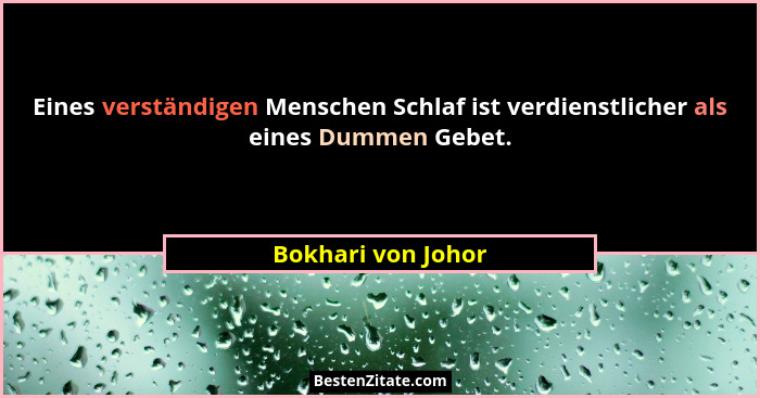 Eines verständigen Menschen Schlaf ist verdienstlicher als eines Dummen Gebet.... - Bokhari von Johor