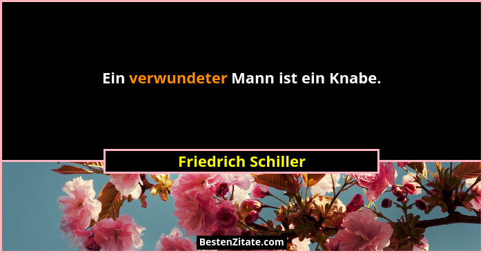 Ein verwundeter Mann ist ein Knabe.... - Friedrich Schiller