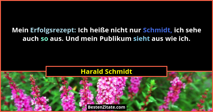 Mein Erfolgsrezept: Ich heiße nicht nur Schmidt, ich sehe auch so aus. Und mein Publikum sieht aus wie ich.... - Harald Schmidt