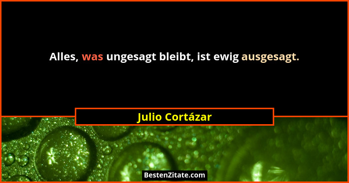 Alles, was ungesagt bleibt, ist ewig ausgesagt.... - Julio Cortázar