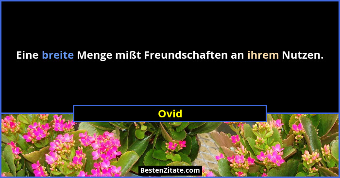Eine breite Menge mißt Freundschaften an ihrem Nutzen.... - Ovid