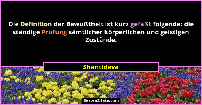 Die Definition der Bewußtheit ist kurz gefaßt folgende: die ständige Prüfung sämtlicher körperlichen und geistigen Zustände.... - Shantideva