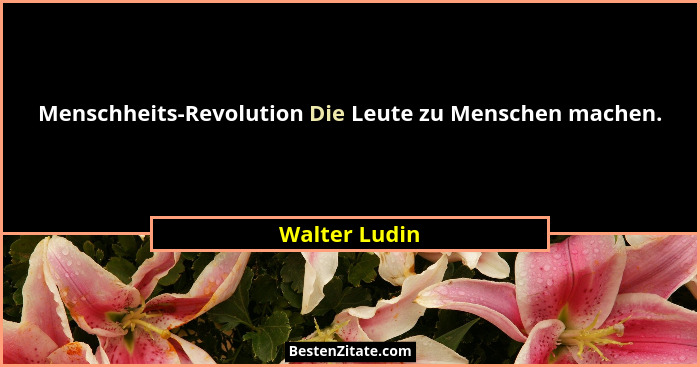 Menschheits-Revolution Die Leute zu Menschen machen.... - Walter Ludin