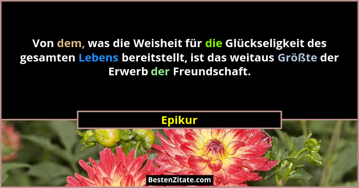 Von dem, was die Weisheit für die Glückseligkeit des gesamten Lebens bereitstellt, ist das weitaus Größte der Erwerb der Freundschaft.... - Epikur