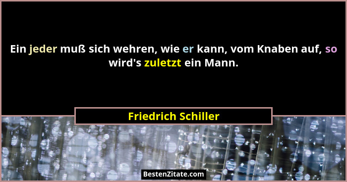 Ein jeder muß sich wehren, wie er kann, vom Knaben auf, so wird's zuletzt ein Mann.... - Friedrich Schiller
