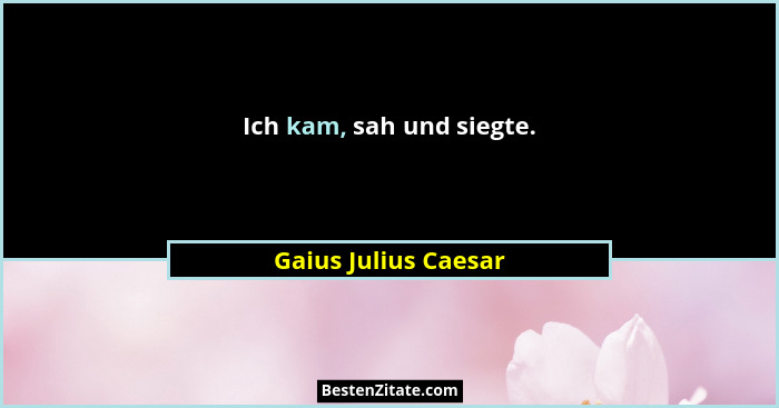 Ich kam, sah und siegte.... - Gaius Julius Caesar