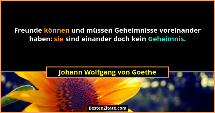 Freunde können und müssen Geheimnisse voreinander haben: sie sind einander doch kein Geheimnis.... - Johann Wolfgang von Goethe