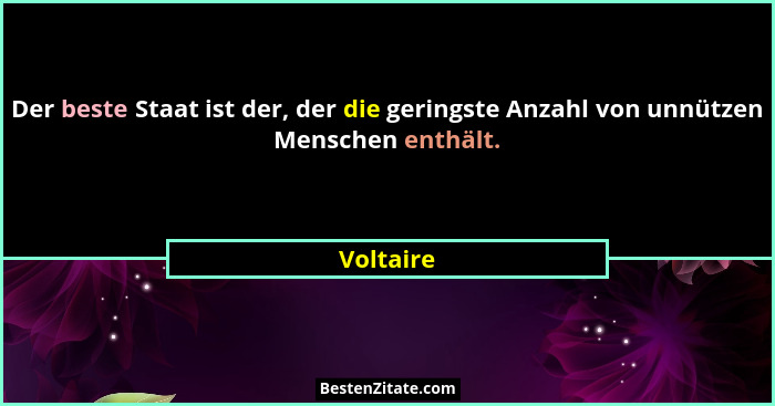 Der beste Staat ist der, der die geringste Anzahl von unnützen Menschen enthält.... - Voltaire