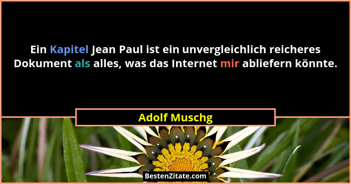 Ein Kapitel Jean Paul ist ein unvergleichlich reicheres Dokument als alles, was das Internet mir abliefern könnte.... - Adolf Muschg