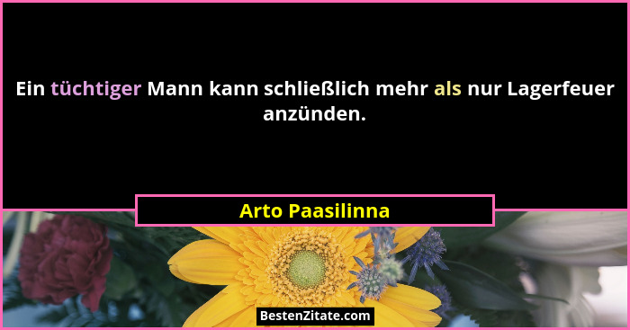 Ein tüchtiger Mann kann schließlich mehr als nur Lagerfeuer anzünden.... - Arto Paasilinna