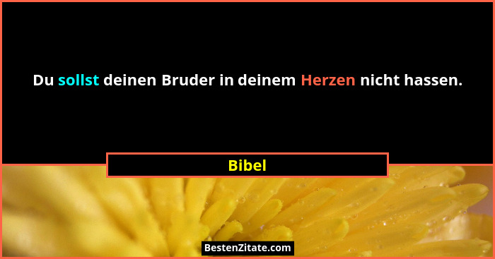 Du sollst deinen Bruder in deinem Herzen nicht hassen.... - Bibel