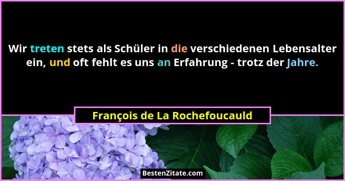 Wir treten stets als Schüler in die verschiedenen Lebensalter ein, und oft fehlt es uns an Erfahrung - trotz der Jahre.... - François de La Rochefoucauld