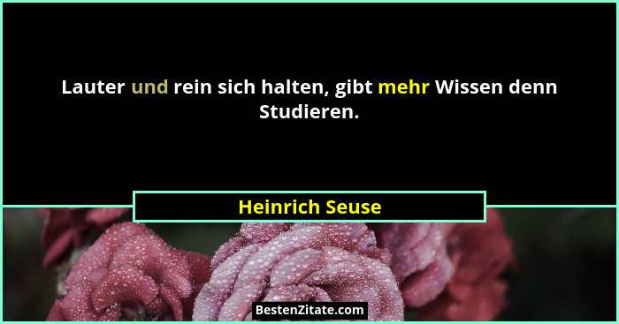 Lauter und rein sich halten, gibt mehr Wissen denn Studieren.... - Heinrich Seuse