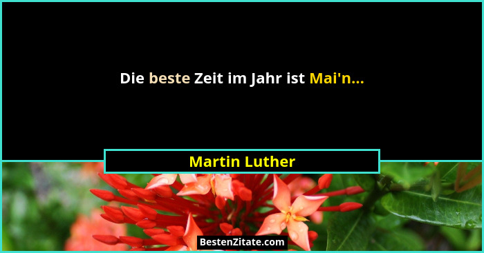 Die beste Zeit im Jahr ist Mai'n...... - Martin Luther