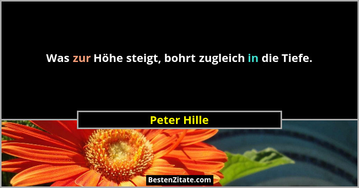 Was zur Höhe steigt, bohrt zugleich in die Tiefe.... - Peter Hille