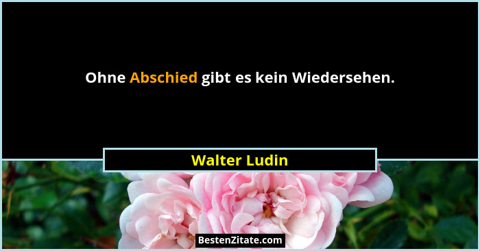 Ohne Abschied gibt es kein Wiedersehen.... - Walter Ludin