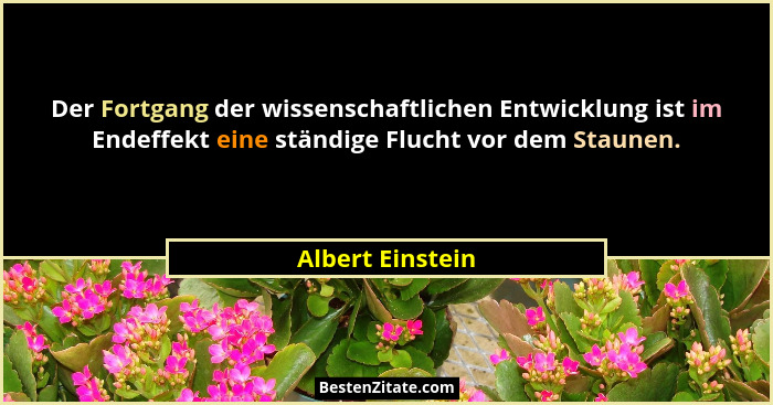 Der Fortgang der wissenschaftlichen Entwicklung ist im Endeffekt eine ständige Flucht vor dem Staunen.... - Albert Einstein