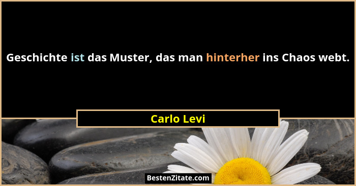 Geschichte ist das Muster, das man hinterher ins Chaos webt.... - Carlo Levi