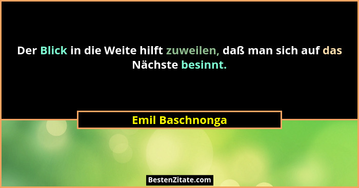Der Blick in die Weite hilft zuweilen, daß man sich auf das Nächste besinnt.... - Emil Baschnonga