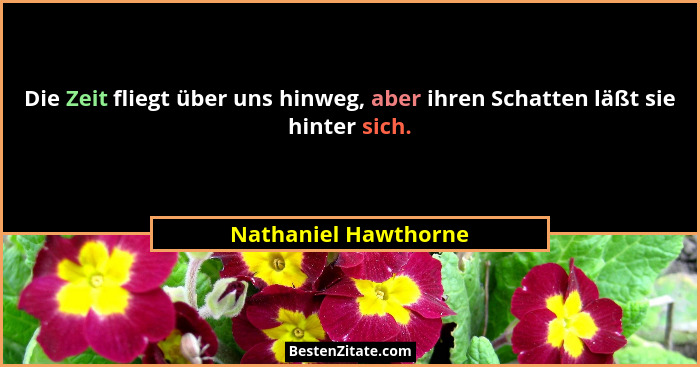 Die Zeit fliegt über uns hinweg, aber ihren Schatten läßt sie hinter sich.... - Nathaniel Hawthorne
