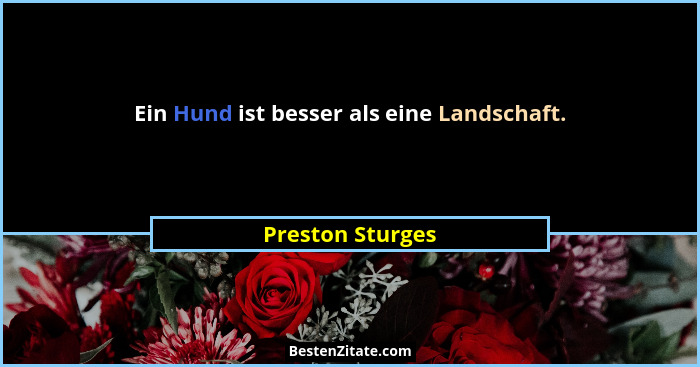 Ein Hund ist besser als eine Landschaft.... - Preston Sturges