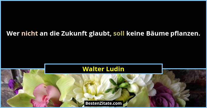 Wer nicht an die Zukunft glaubt, soll keine Bäume pflanzen.... - Walter Ludin