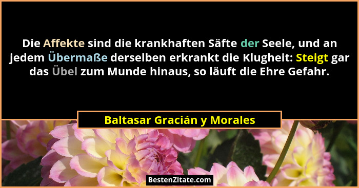 Die Affekte sind die krankhaften Säfte der Seele, und an jedem Übermaße derselben erkrankt die Klugheit: Steigt gar das Ü... - Baltasar Gracián y Morales