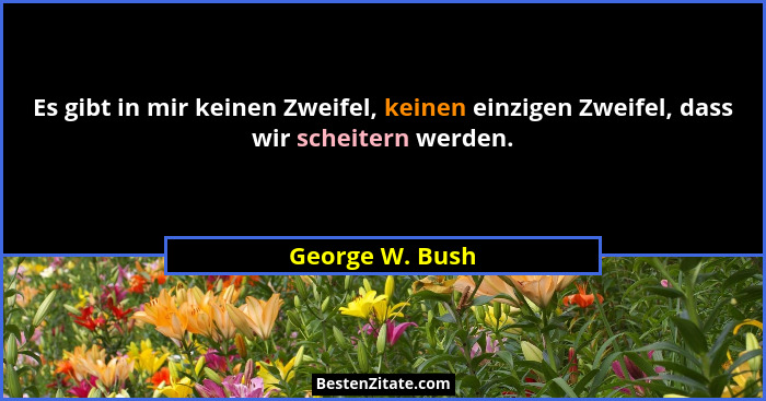 Es gibt in mir keinen Zweifel, keinen einzigen Zweifel, dass wir scheitern werden.... - George W. Bush