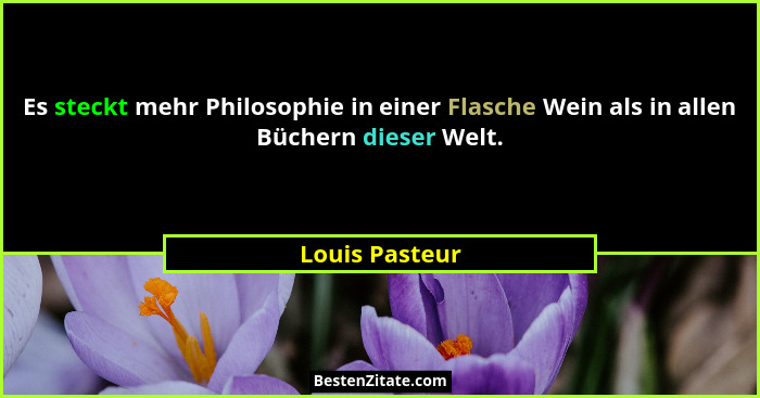 Es steckt mehr Philosophie in einer Flasche Wein als in allen Büchern dieser Welt.... - Louis Pasteur
