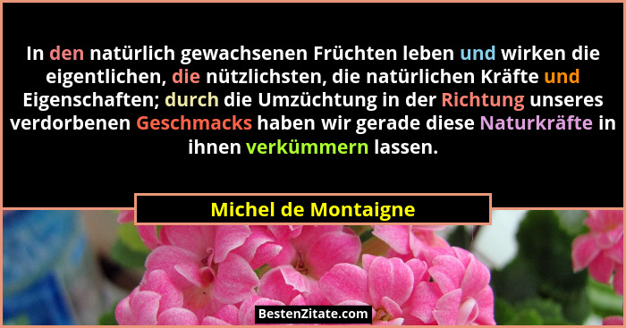In den natürlich gewachsenen Früchten leben und wirken die eigentlichen, die nützlichsten, die natürlichen Kräfte und Eigenschaf... - Michel de Montaigne
