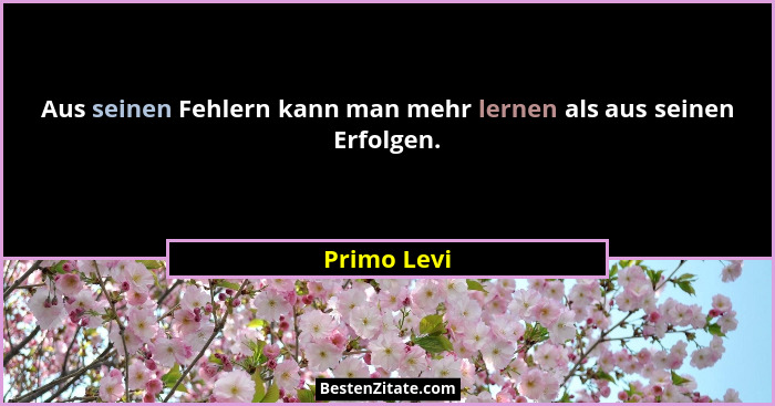 Aus seinen Fehlern kann man mehr lernen als aus seinen Erfolgen.... - Primo Levi