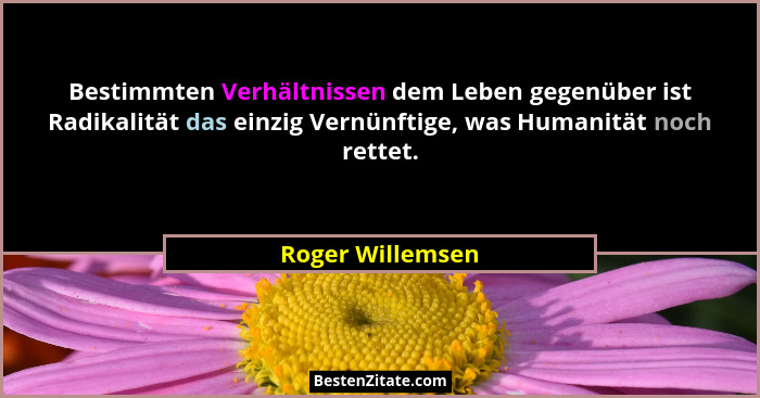 Bestimmten Verhältnissen dem Leben gegenüber ist Radikalität das einzig Vernünftige, was Humanität noch rettet.... - Roger Willemsen