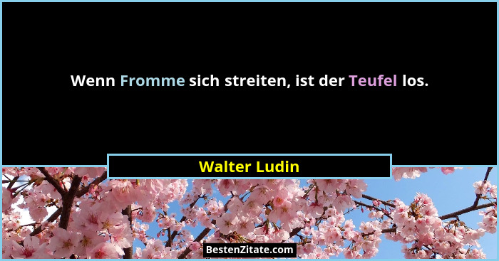Wenn Fromme sich streiten, ist der Teufel los.... - Walter Ludin