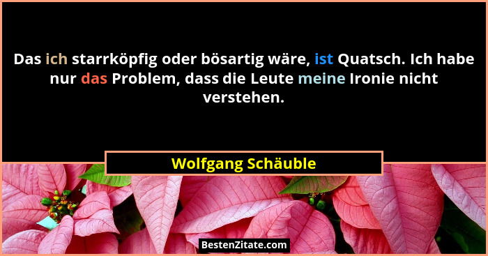 Das ich starrköpfig oder bösartig wäre, ist Quatsch. Ich habe nur das Problem, dass die Leute meine Ironie nicht verstehen.... - Wolfgang Schäuble